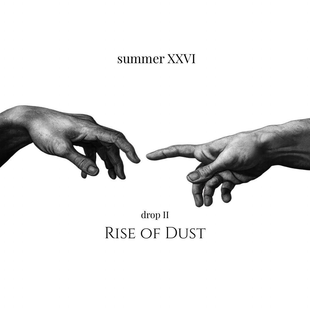 Rise of Dust
